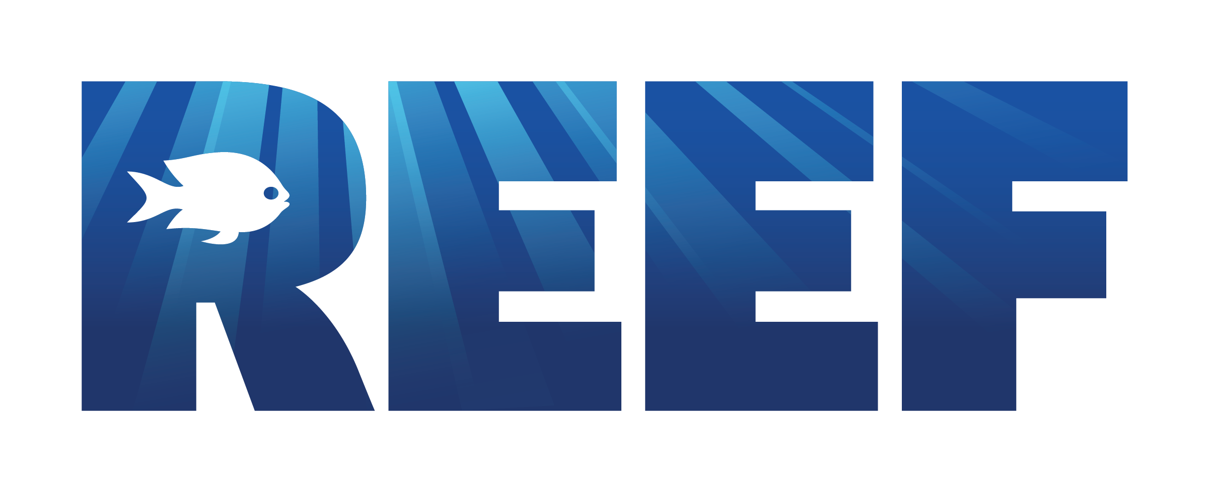 לוגו של REEF.